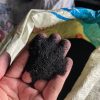 Shisha Briquette Charcoal