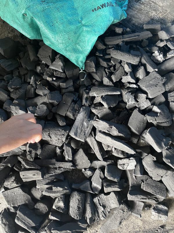 IMG_2471 Hardwood (Tamarind/Halaban) Charcoal